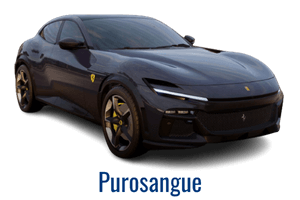Ferrari purosangue