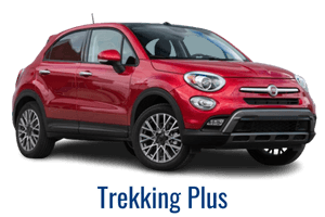 Fiat Trekking Plus