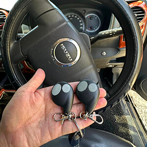 Isuzu-Car-remotes